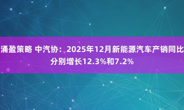 涌盈策略 中汽协：2025年12月新能源汽车产销同比分别增长12.3%和7.2%